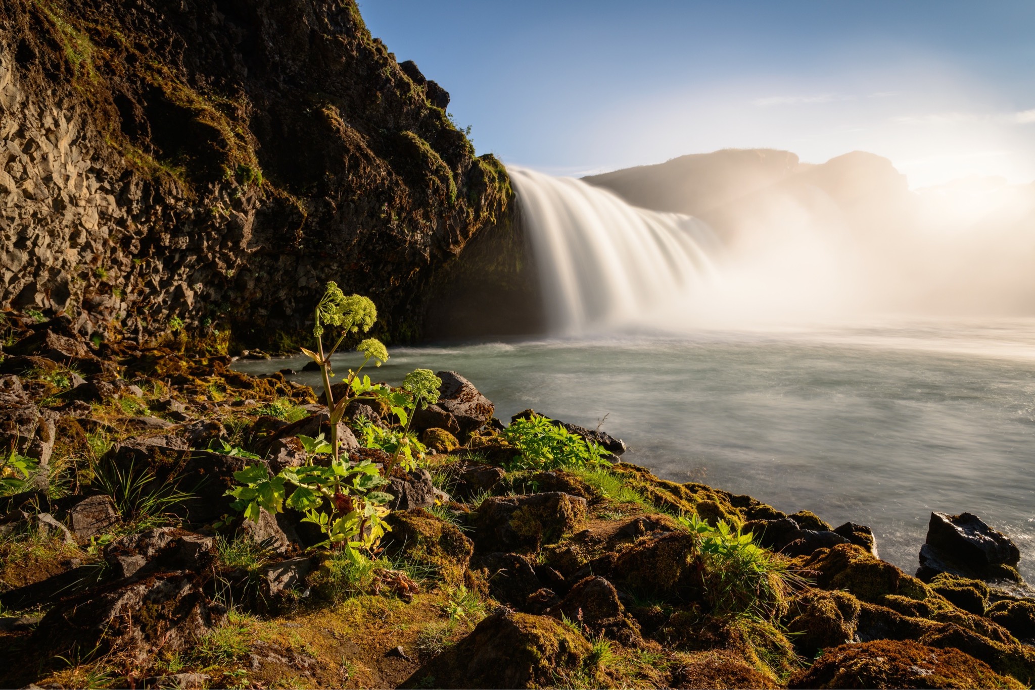Aaaa